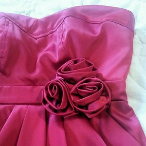 Cranberry Routelle Dress